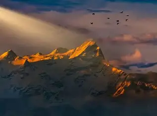 Gaurishankar Rudraksha