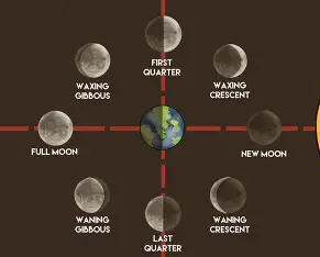 Lunar Cycle Support