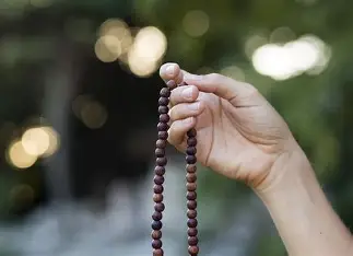 Solar Energy Activation